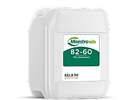 Maestrowin 82-60 Oto Şampuanı 20KG