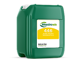 Maestrowin 446 Asidik, Köpüklü Temizleme Sıvısı 25KG