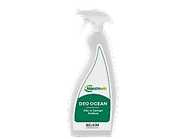 Maestrowin Deo OceanOda ve Çamaşır Parfümü 12x750ML